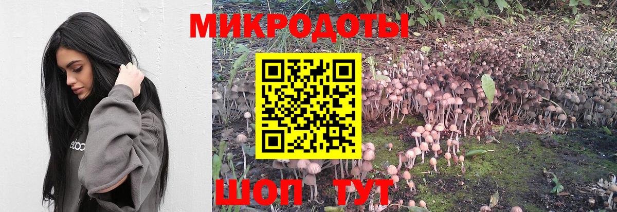 Галлюциногенные грибы прущие грибы  закладка  Обнинск  Вход с VPN  Псилоцибиновые грибы GOLDEN TEACHER 